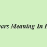 Belated Meaning In Hindi | Belated का मतलब हिंदी में
