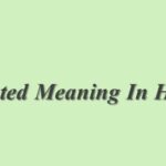Compliant Meaning In Hindi | Compliant का मतलब हिंदी में