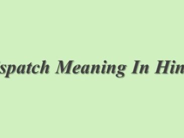 Dispatched Meaning In Hindi Dispatched का मतलब हिंदी में