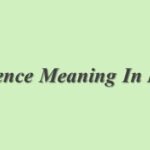 Despite Meaning In Hindi | Despite का मतलब हिंदी में