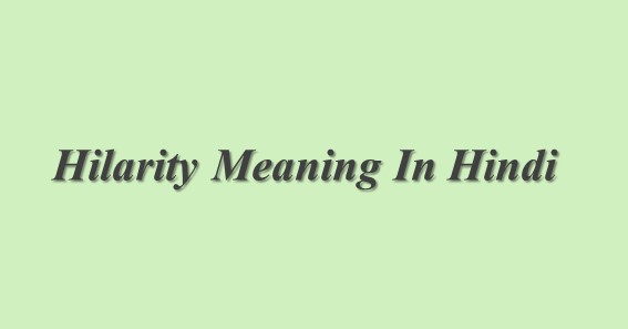 Hilarity Meaning In Hindi