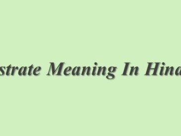Illustrate Meaning In Hindi