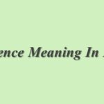 Extend Meaning In Hindi | Extend का मतलब हिंदी में