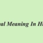 Pretend Meaning In Hindi | Pretend का मतलब हिंदी में