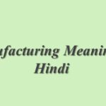 Meticulous Meaning In Hindi | Meticulous का मतलब हिंदी में