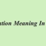 Pursue Meaning In Hindi | Pursue का मतलब हिंदी में