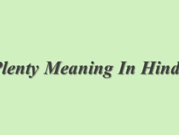 Plenty Meaning In Hindi
