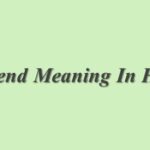 Provincial Meaning In Hindi | Provincial का मतलब हिंदी में