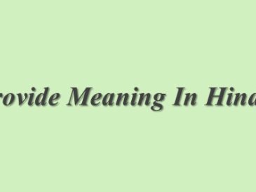 Provide Meaning In Hindi