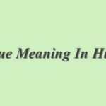 Maturation Meaning In Hindi | Maturation का मतलब हिंदी में
