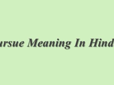 Pursue Meaning In Hindi