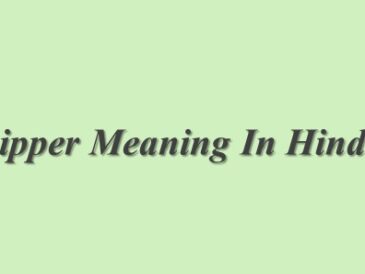 Shipper Meaning In Hindi