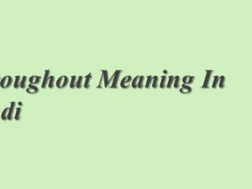 Throughout Meaning In Hindi