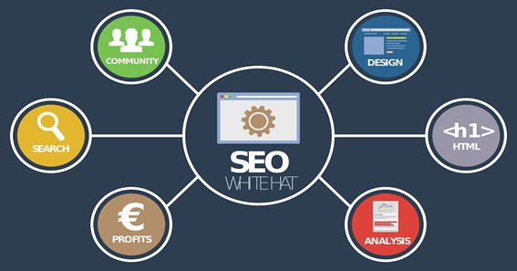 Search engine optimization and why it has become so popular.