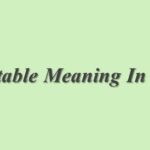 Adorable Meaning In Hindi | Adorable का मतलब हिंदी में