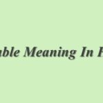 Acceptable Meaning In Hindi | Acceptable का मतलब हिंदी में