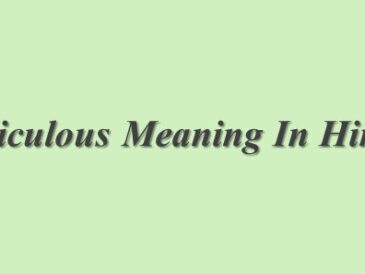 Meticulous Meaning In Hindi