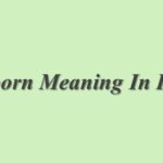 Straining Meaning In Hindi | Straining का मतलब हिंदी में
