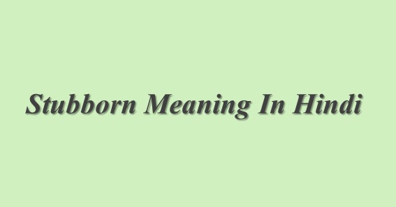 Stubborn Meaning In Hindi