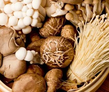Unlocking the Health Benefits of Functional Mushrooms: A Comprehensive Guide